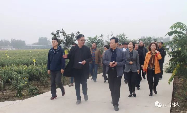 云臺冰菊基地發(fā)生了什么？一批批領(lǐng)導專(zhuān)家團隊前來(lái)！